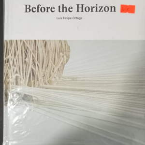 Before the Horizon